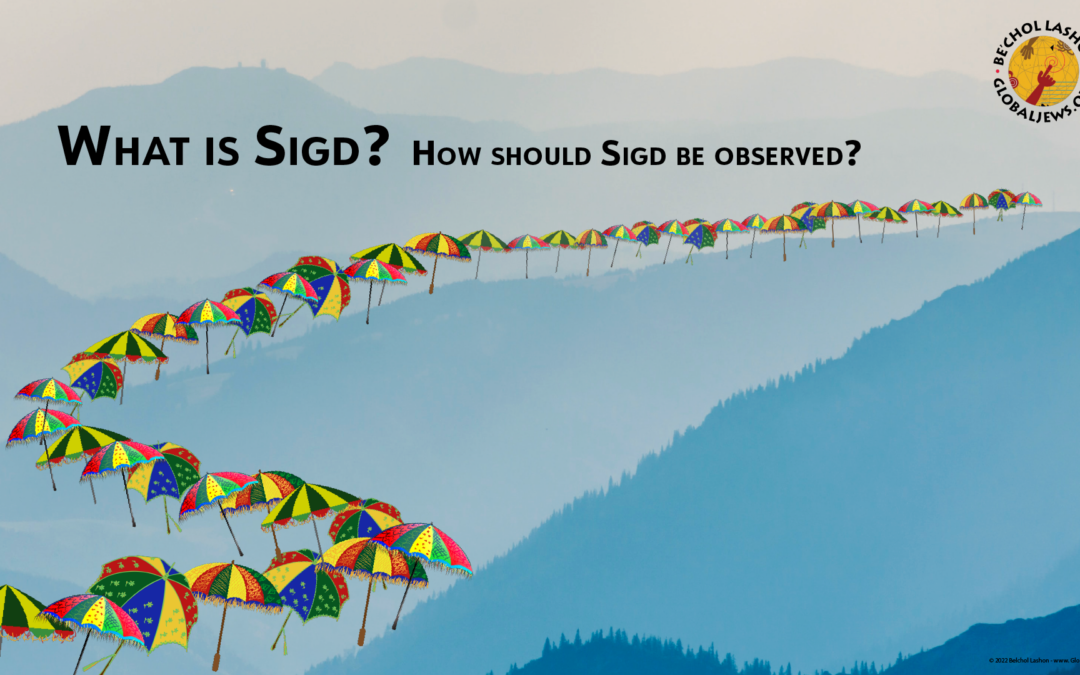 What is Sigd?